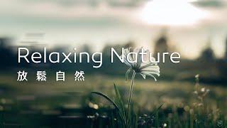 放鬆音樂Relaxing Music｜給自己一個獨處的時光，讓思緒隨風飄散，內心隨之平靜