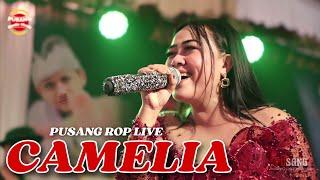 PUSANG ROP LIVE | CAMELIA - AYU RUSDY FT RENYTA