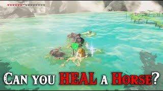 Can You HEAL a HORSE in Hot Springs? Let's not find out in Zelda Breath of the Wild