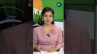 Chi 2600 USD thuê biển quảng cáo tìm vợ | VTC1