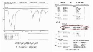 IR Interpretation