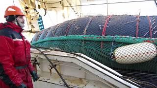 krill fishing in Antarctica.