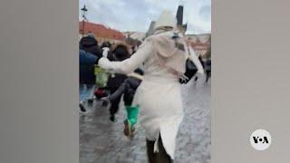 People Run Across Charles Bridge in Prague After Deadly Shooting | VOA News