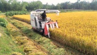 जापानी मिनी हार्वेस्टर II Kubota mini harvester