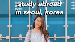 [KOREA STUDY ABROAD VLOG] Seeing Dean, BLACKPINK, TWICE for FREE! 