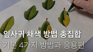 Complete conquest of Minhwa Leaf Color Barim | Basic Course  | How to paint peony leaves neatly 