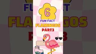 6 fun facts about Flamingos P3 #englishsingsing #animals #wildanimals #shortvideo #shorts