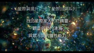 找回星際家人的花精靈｜觀音慈悲的漣漪｜與眾不同的靈性能力｜星際回溯（線上希塔療癒）