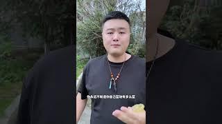 你的蓝珀有那么蓝吗#琥珀