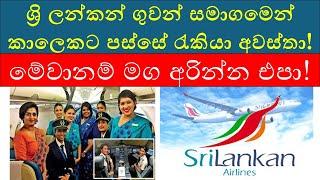 Latest SriLankan Airlines Job Vacancies in 2024 | Open Positions & How to Apply