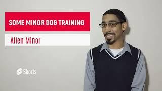 Some Minor Dog Training - Introduction