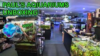 TROPICAL FISH UNBOXING* 10 Boxes of Live Fish!