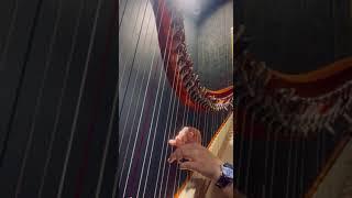 Canon in D by Johann Pachelbel #AtTheHarpClass#Classical#Harp