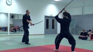 Bujinkan Ninjutsu