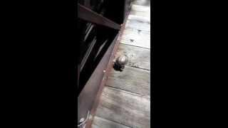 Turtle on the bridge, August 6, 2012, video