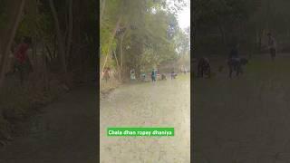 Chala dhan ropay dhaniya #song #bhojpuri #khesari #bhojpurisong #dance #bhokpurigana #love #bhojpuri