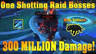 One Shotting Raid Bosses with 300 MILLION Damage