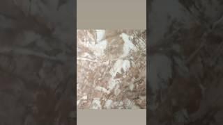 Декоративные покрытия от GuraDecor #guradecor #декордома #декоративнаяштукатур #дизайн @GuraDecor