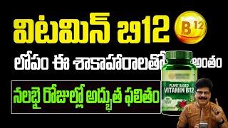 విటమిన్ B12 లోపం ఈ శాకాహారాలతో అంతం! Increase Vitamin B12 Naturally  Best Foods, Natural Supplements