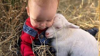 Little Friends Have Melting Moments With Animals