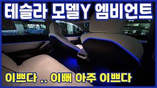 테슬라 모델Y 엠비언트 /TESLA/AMBIENT/MODELY/두친구영삼이