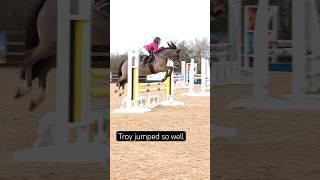 The number blew off the fence #horse #showjumping #horseriding #equestrian #pony #horselover