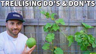 Trellising Secrets: When It's A Game-Changer And When It's Not