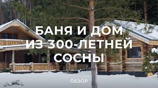 Дом из сосны, которой 300 лет: сколько стоит дом из сухостоя и что такое сосна «Кело» / Sewera