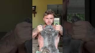 My cat is strong #shorts
