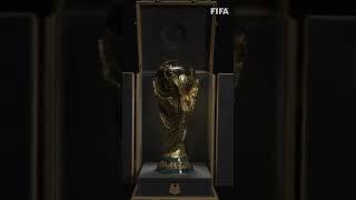 FIFA World Cup Qatar 2022 Louis Vuitton travel case