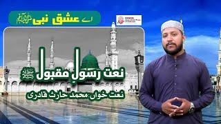 Naat | Ay ISHQ E NABI (S.A.W) | Muhammad Haris Qadri | APP