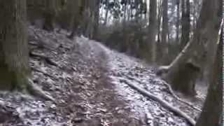 Iron Mountain Gap at Wilbur Dam Rd, TN 2/16/13 (day hike on the AT)