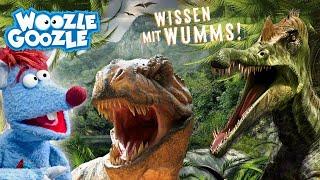 ALLES über DINOS l WOOZLE GOOZLE