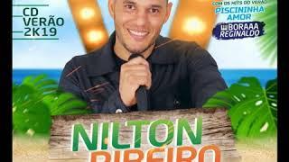 NILTON RIBEIRO