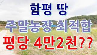 [부동산 경매물건] 전남 함평 신광면 땅 주말농장으로 최적합!! 평당 4만2천원??