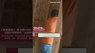 |阿里日报|【独家揭秘】再小的ADU也能让阿里建筑“大展身手”！#adu #投资