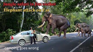 Car camping in jungle | Night camping | Wild Elephant Attack On Car near Jim Corbett