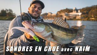 Pêche du sandre en crue avec Naim