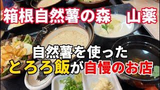 【箱根グルメ】ヘルシーな和食が楽しめる自然薯専門店