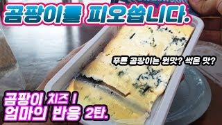 썩은치즈임!!?? 곰팡이를 피오씁니다. 고르곤졸라치즈, 엄마반응2탄 ,Mukbang