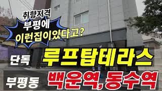 인천 부평구 부평동신축빌라 매매 복층같은 [단독루프탑테라스] 딱 2세대만! 백운역 동수역 더블역세권~주변재개발 호재까지!