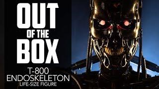 T-800 Endoskeleton Life-Size Figure Unboxing