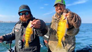 CJ Strike Crappie, Perch, and Sturgeon: Is this Southern Idaho's Best Fishery?