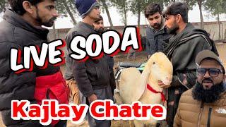 Soda Kitne Ka hona Chahiye ? Kajlay chattre 2025 qurbani Ke Liye | Lahore Bakra Mandi shapur kanjra