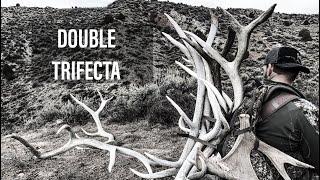 SHED HUNTING UTAH 2020: DOUBLE TRIFECTA