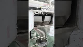 1000g Granule Filling Machine 4 Linear Vibratory Weigh Filler | VTOPS-4DC-6K 