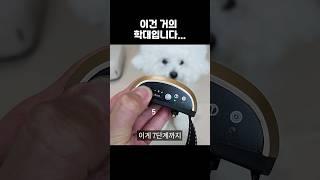 강아지 키우면 믿고 걸러야하는 최악의 용품들 #shorts