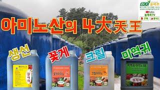 아미노산의 4대 천왕天王 꽃게아미노,크릴아미노, 생선아미노, 미역귀아미노 #농마트 #farming #fertilizer #farm #korea #아미노산 #유기농 #농자재 #영양제