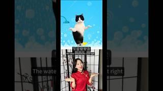 Let’s dance with cat ‍⬛ today! #lol #language #learnchinese #china #chinese #chineseteacher