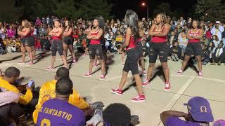 Delta Sigma Theta 2019 MSU Yard Show